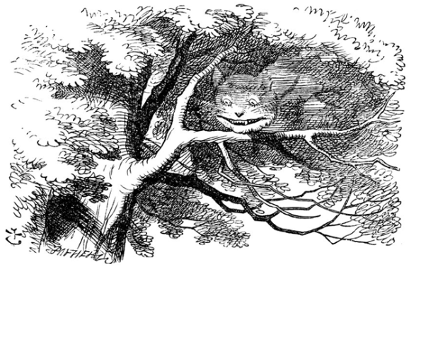 smile of the cheshire cat